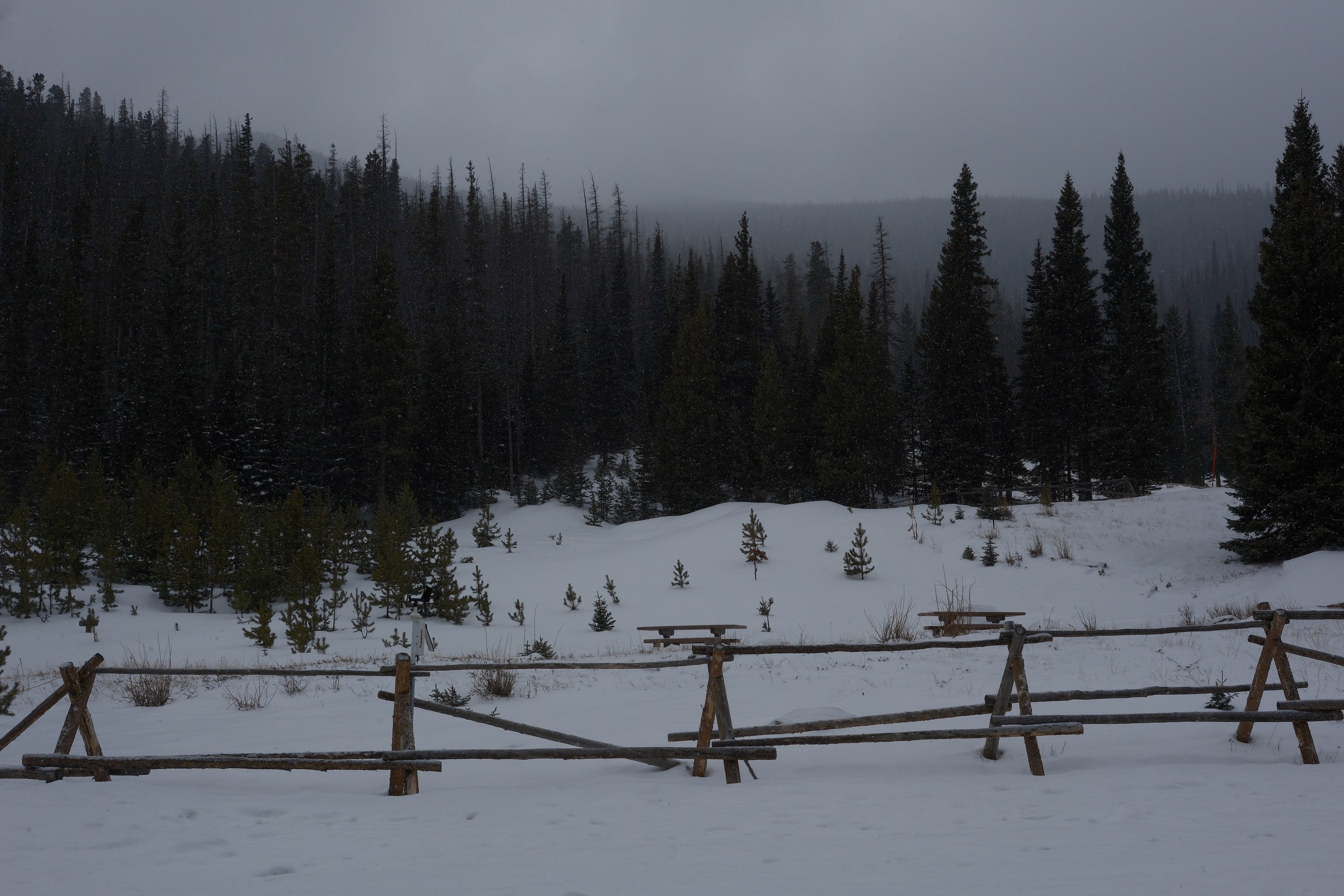 Cover Image for New Year, New Focus