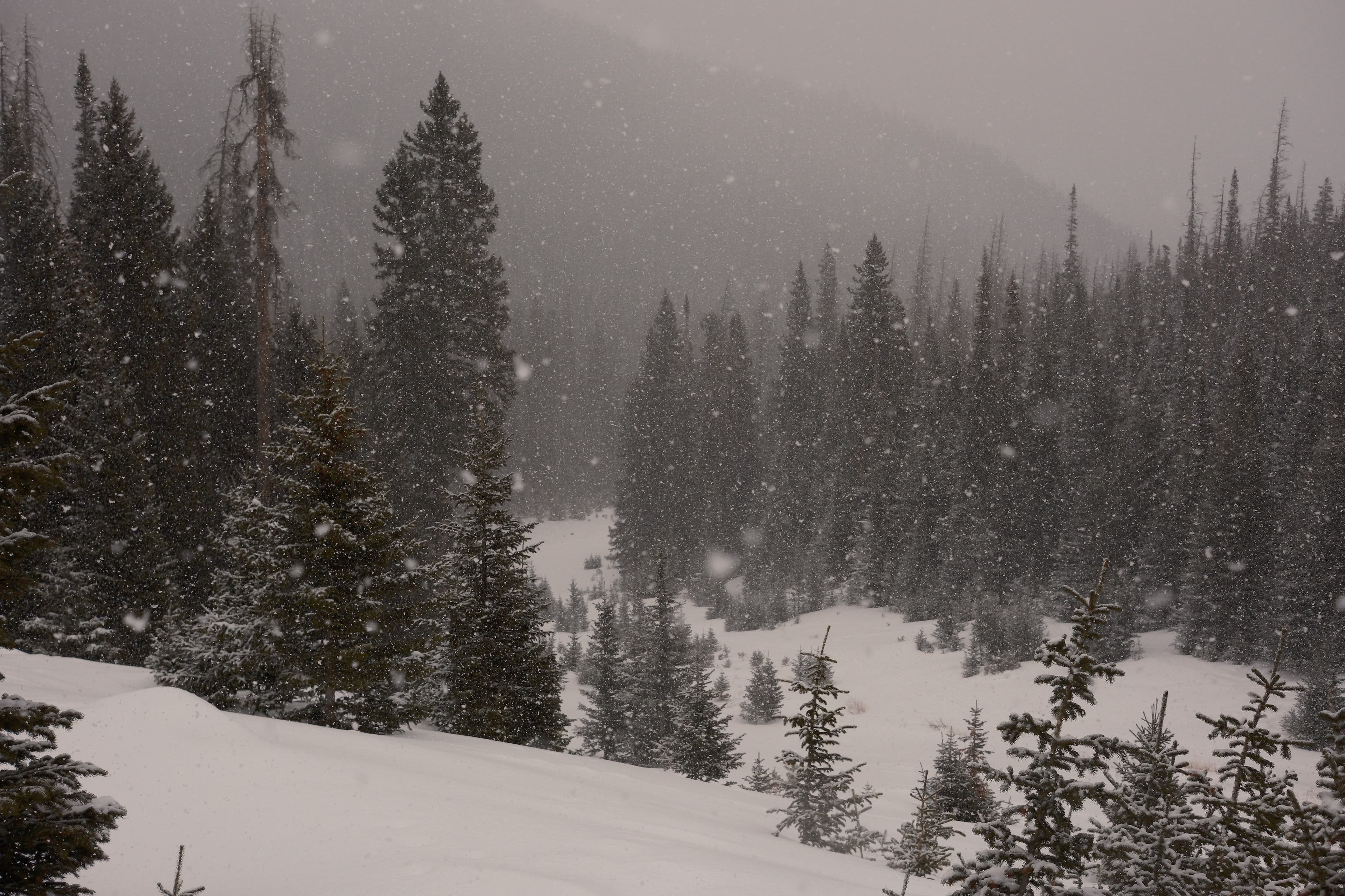 Cover Image for Using logarithms to size arrays in Go